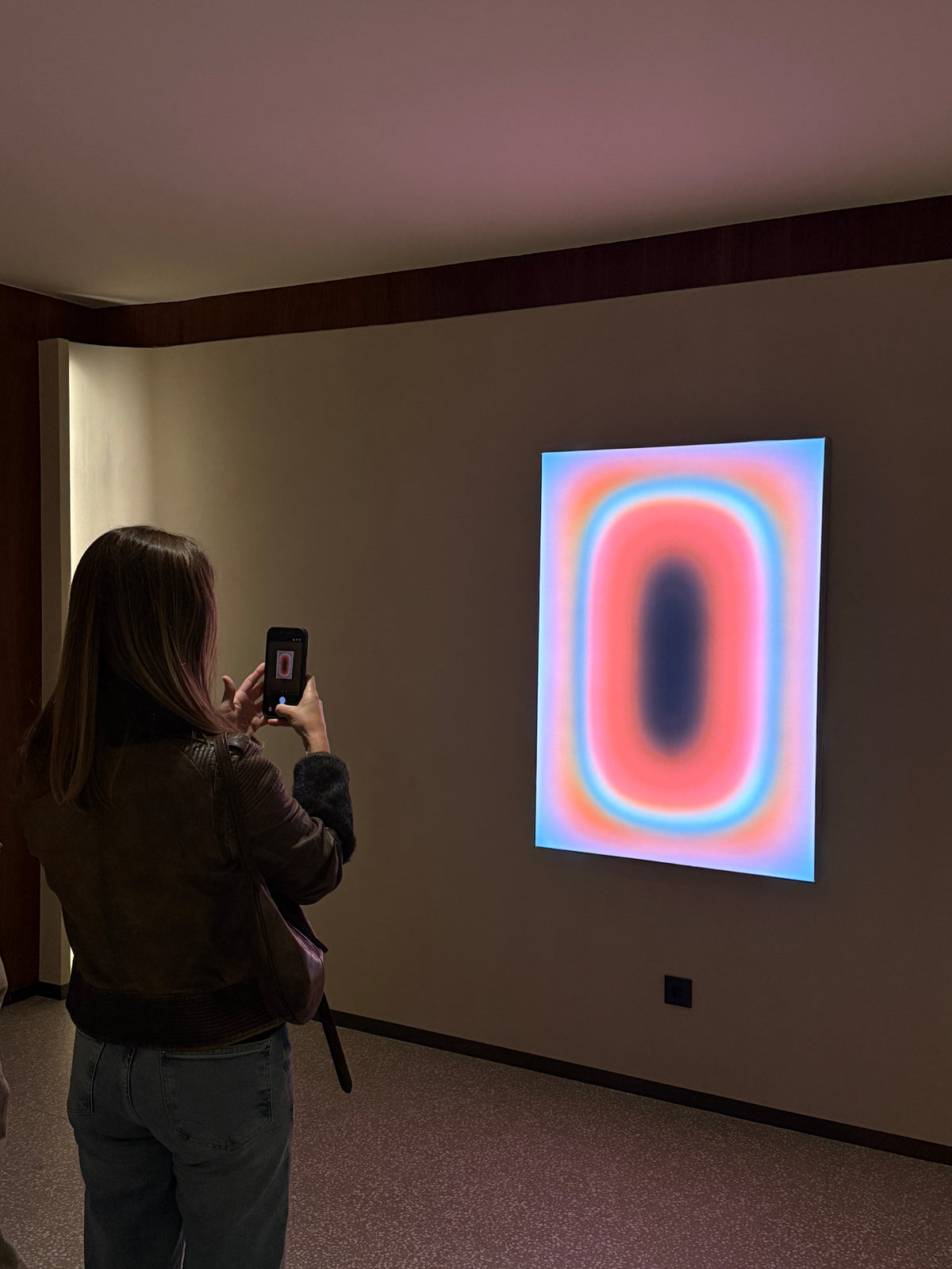 A visitor photographing a Luis West lightbox on the wall of an exhibition space
